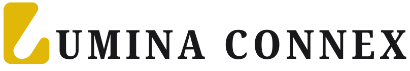 Lumina Connex Boxes Logo